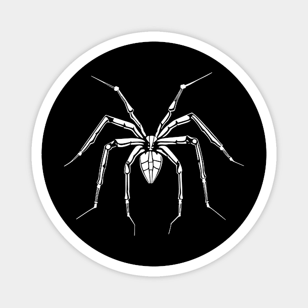 Cider Spider Magnet by aceofspace